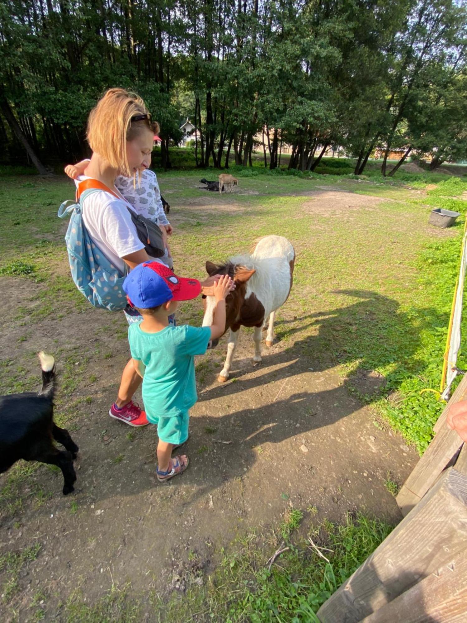 Chalet Drevenica Emilka, 5 Min Restauracia, Z Terasy Vyhlad Na Kralovu Holu A Polomske Ocko, Gril, Ohnisko, Kotlik Brezno